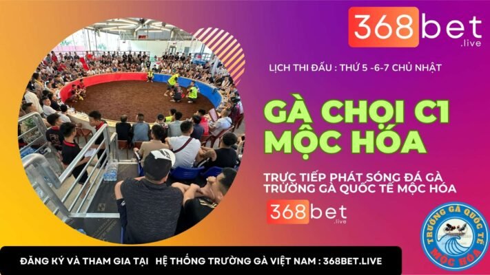 ĐÁ GÀ C1 TRƯỜNG GÀ MỘC HÓA