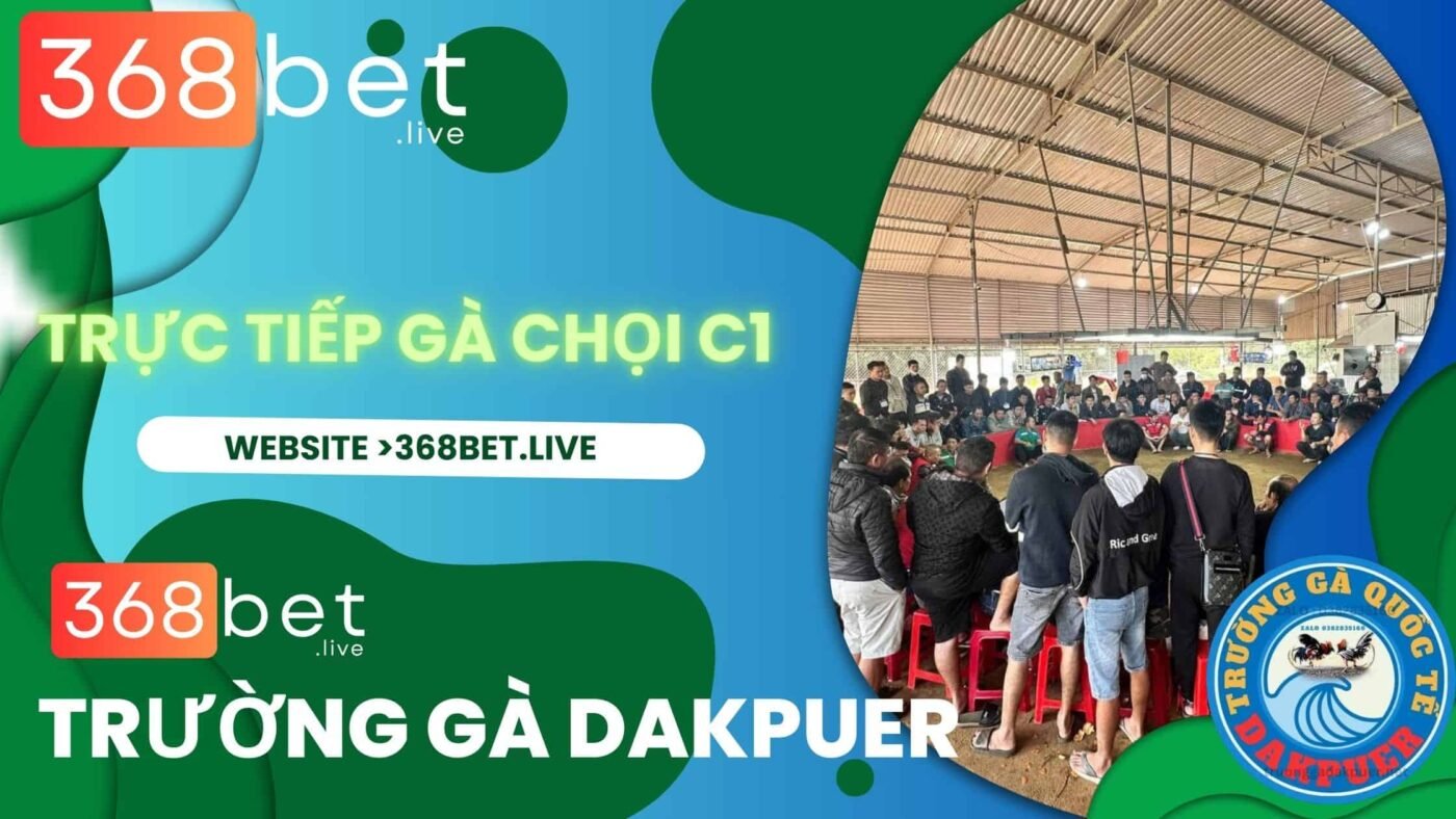 xem đá gà dakpuer tại trường gà dakpuer