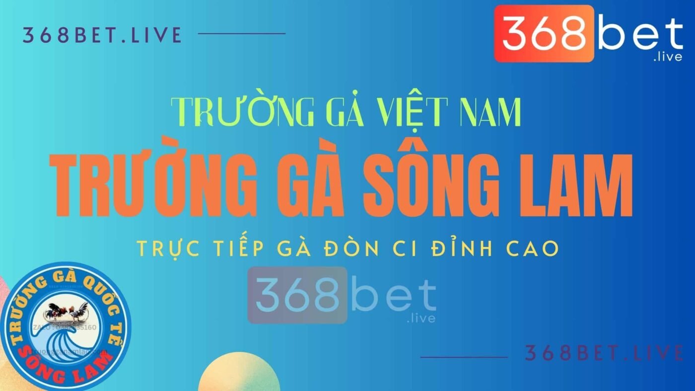 trực tiếp gà chọi c1 tại 368bet