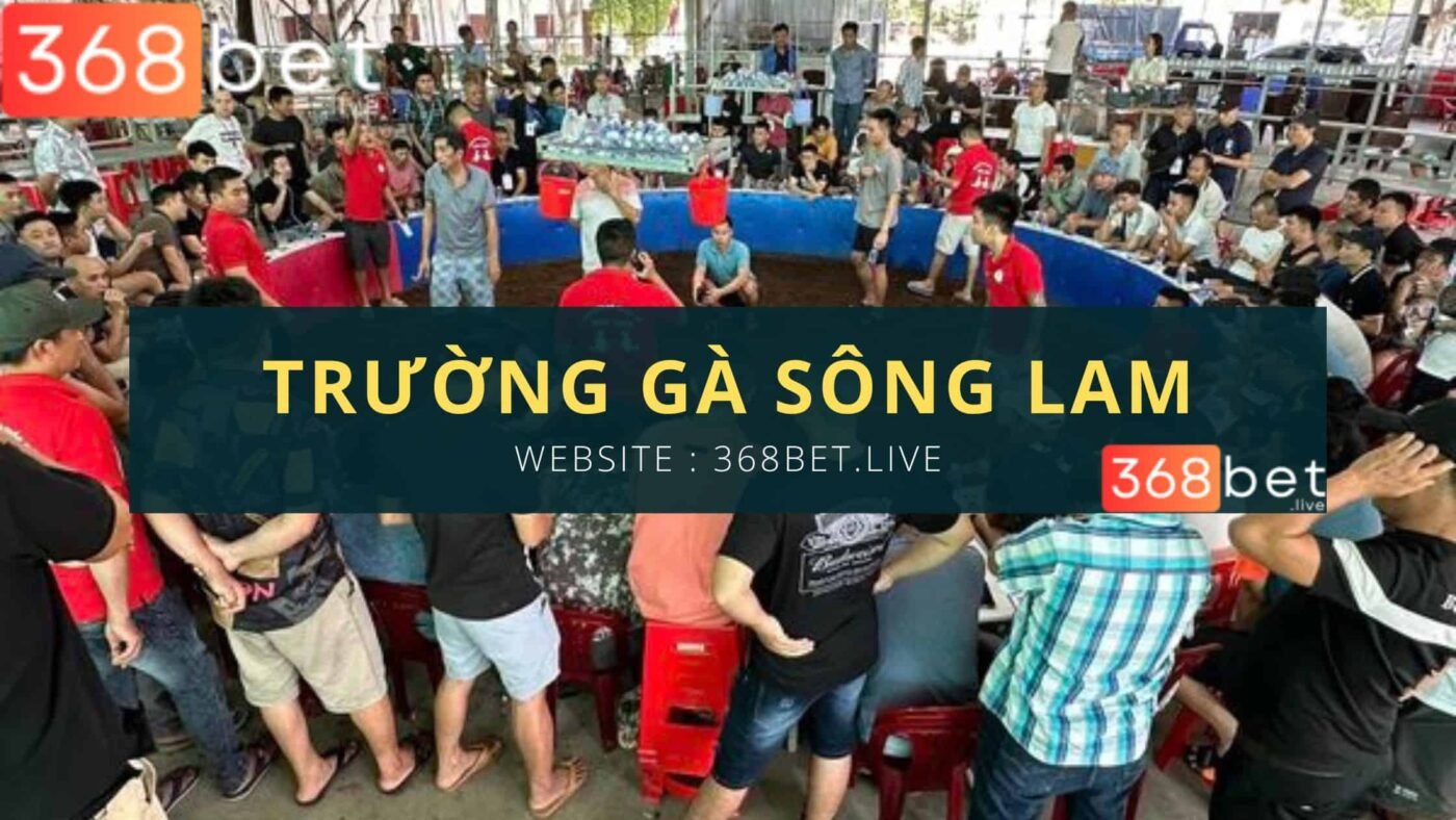 các trận đấu đá gà c1 rất đông khán giả