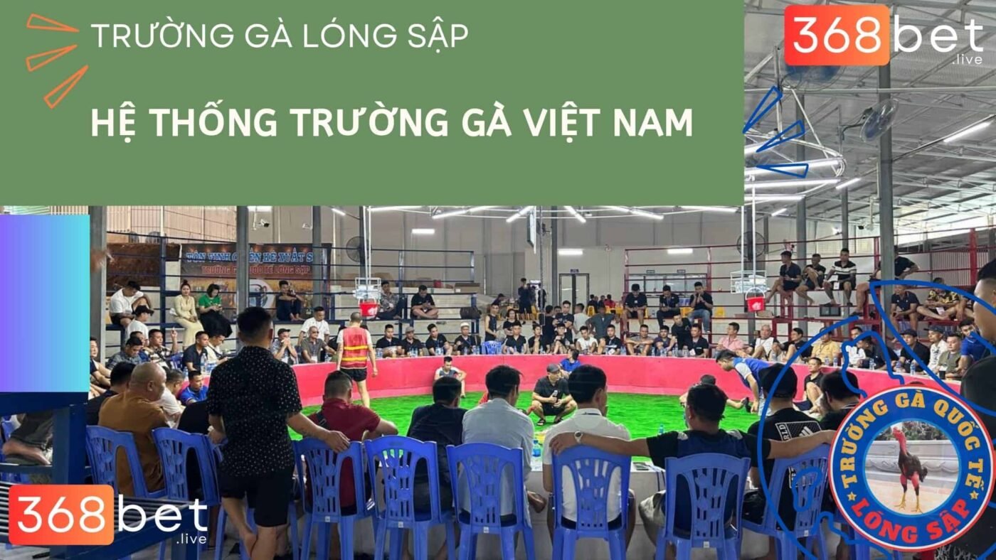 đá gà lóng sập hôm nay